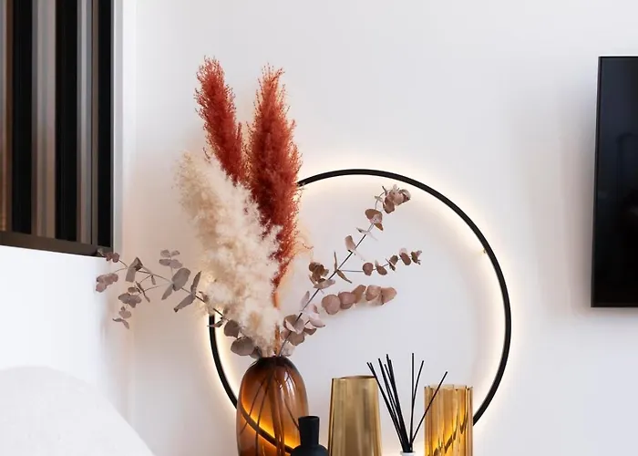 Apartment Les Perchoirs De Stanislas 1 - De Standing Hyper Centre